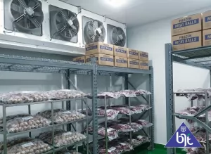 Blast freezer room BJT untuk simpan bakso